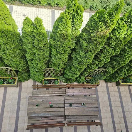 Séjour chez l'habitant Dom Goscinny Sonia