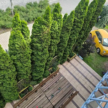 Dom Goscinny Sonia Dziwnówek